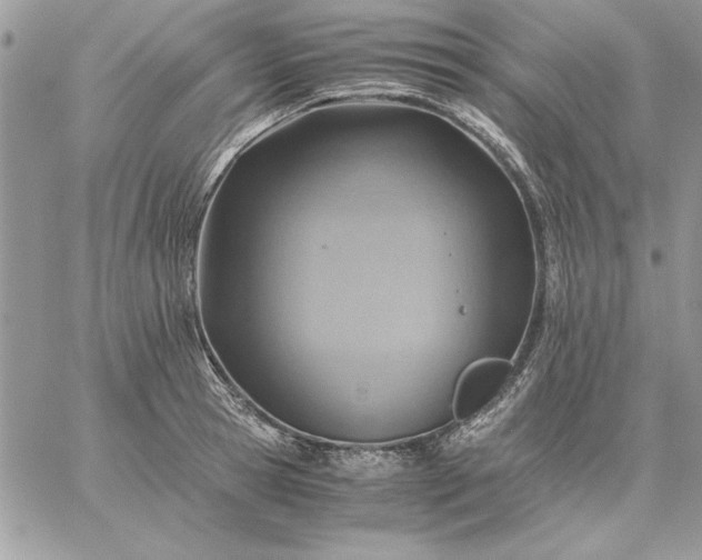 X0000059090945200510172051