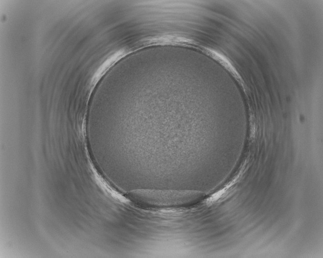 X0000059090946200510172051