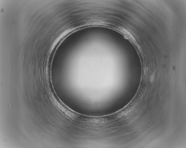 X0000059090947200510172051