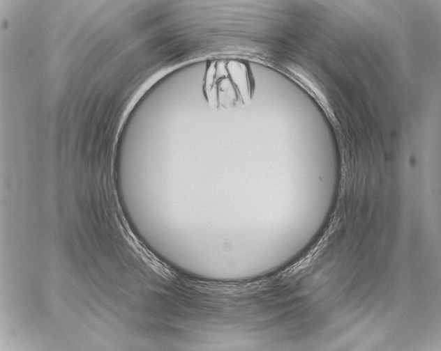 X0000059090948200510172051