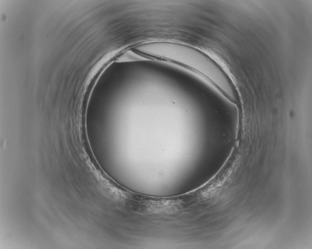 X0000059090949200510172051