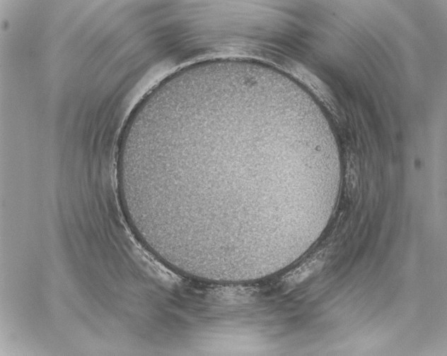 X0000059090950200510172051