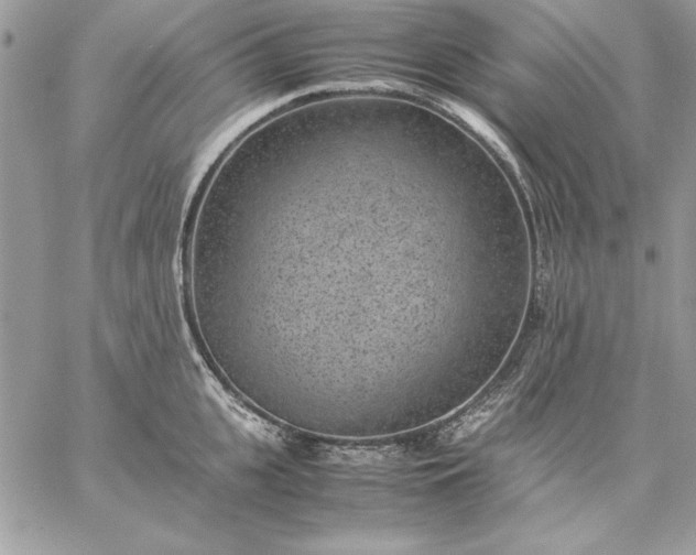 X0000059090951200510172051