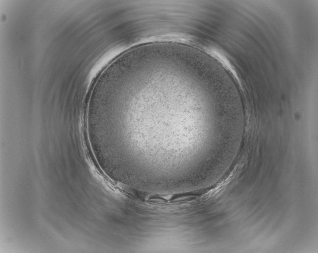 X0000059090952200510172051