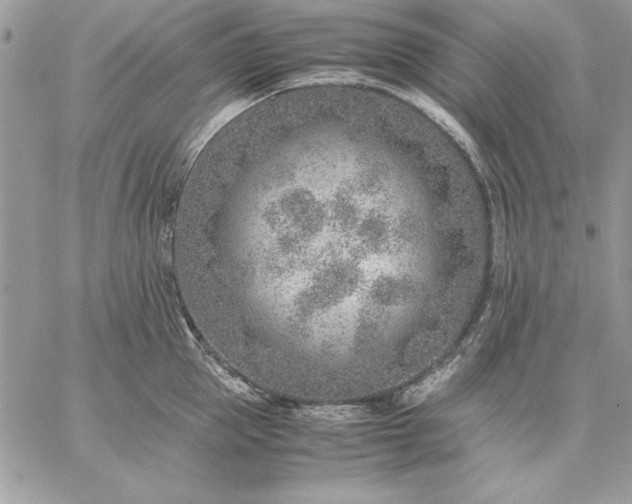 X0000059090953200510172051