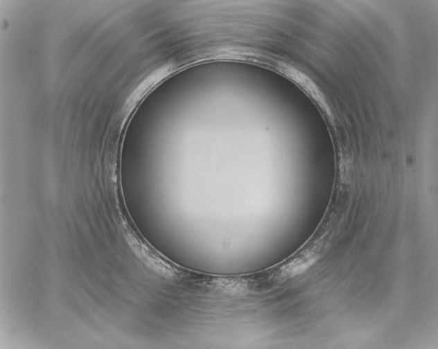 X0000059090954200510172051