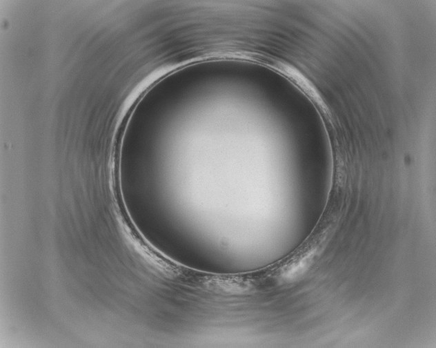 X0000059090955200510172051