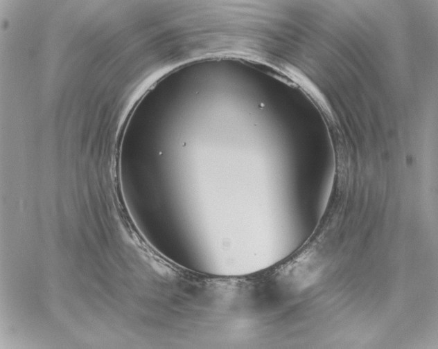 X0000059090956200510172051