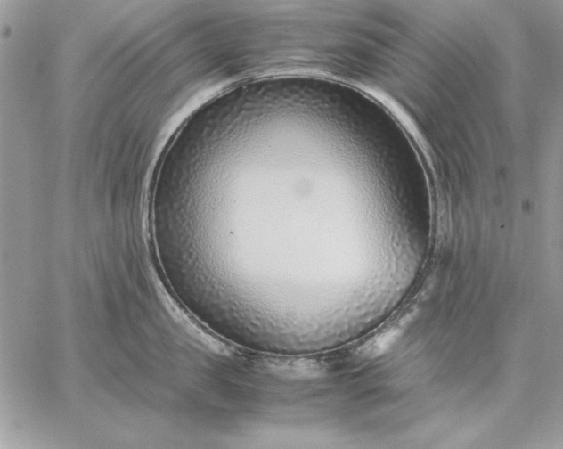 X0000059090957200510172051