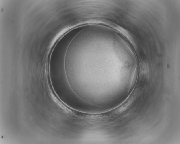 X0000059090958200510172051