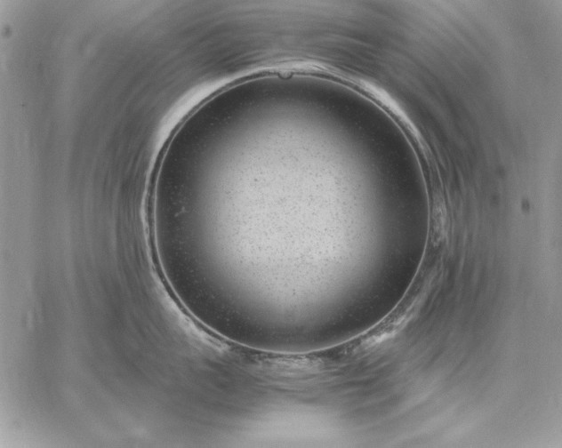 X0000059090959200510172051