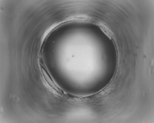 X0000059090960200510172051