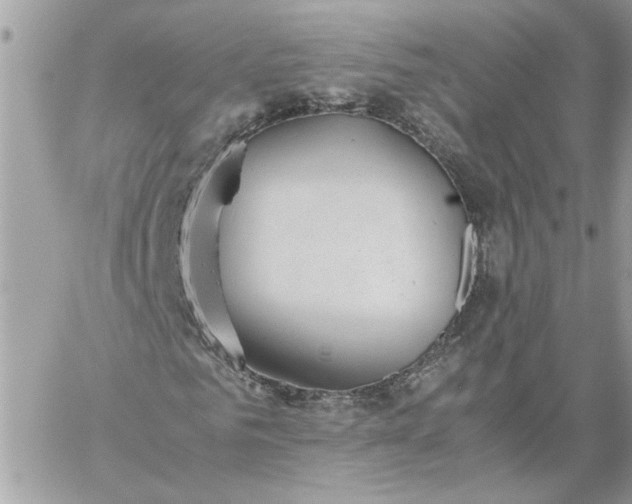 X0000059090961200510172051