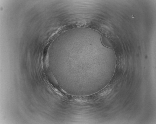 X0000059090962200510172051