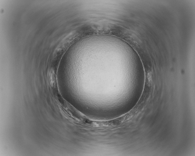 X0000059090963200510172051