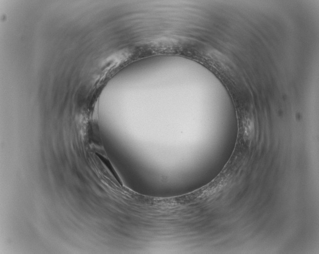 X0000059090964200510172050