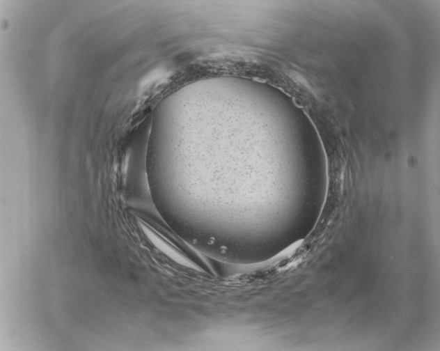 X0000059090965200510172050