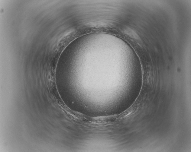 X0000059090966200510172050