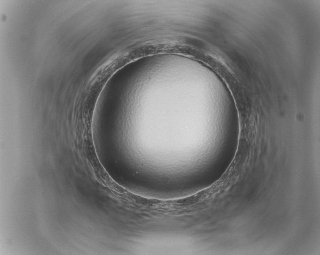 X0000059090967200510172050