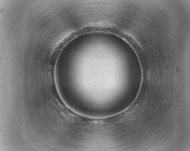 X0000059090968200510172050