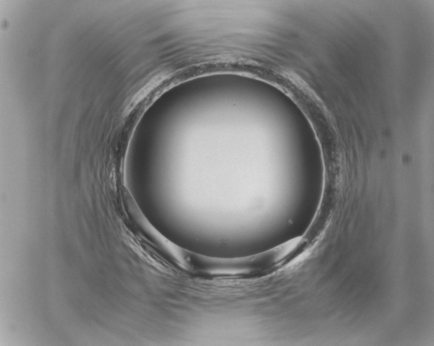 X0000059090969200510172050