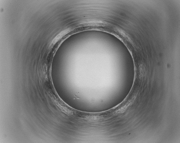 X0000059090970200510172050