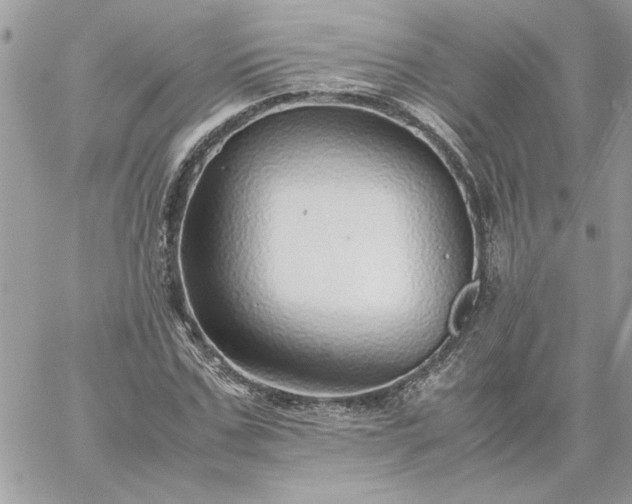 X0000059090971200510172050