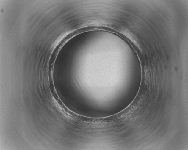 X0000059090972200510172050