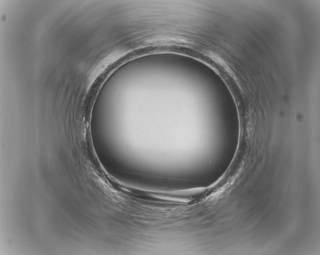 X0000059090973200510172050