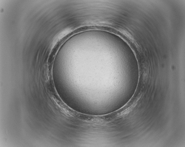 X0000059090974200510172050