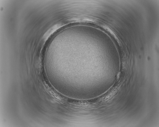 X0000059090975200510172050