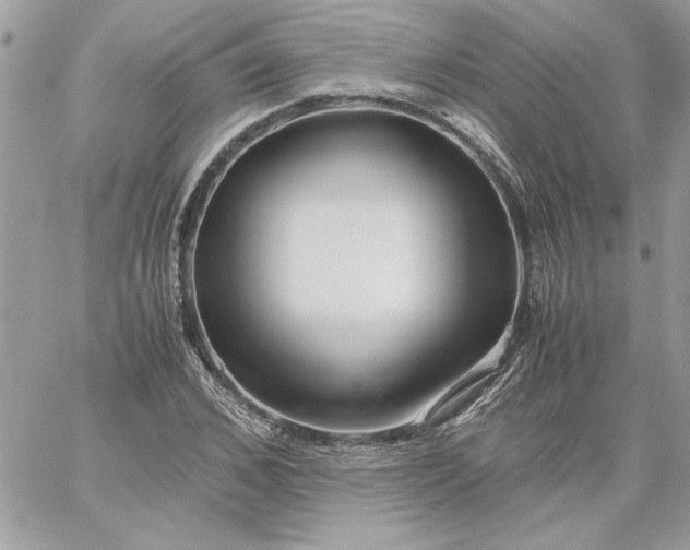 X0000059090976200510172050