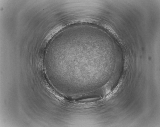 X0000059090977200510172050