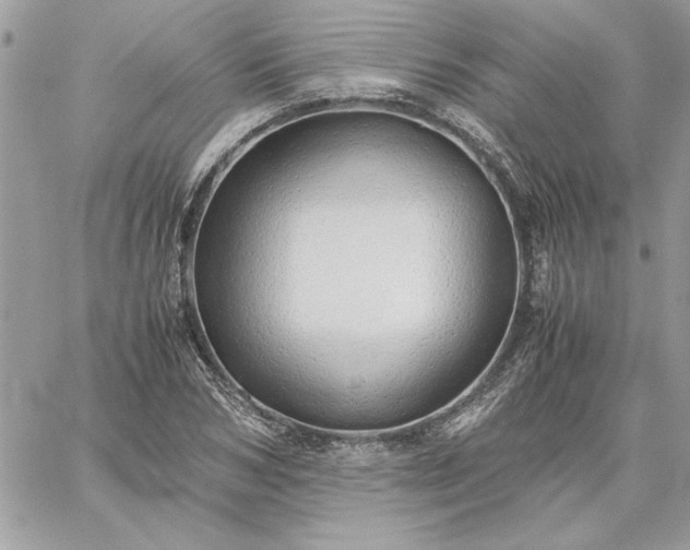 X0000059090978200510172050