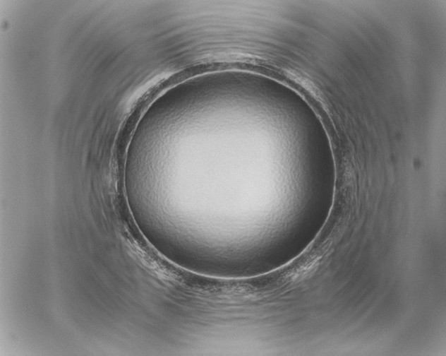 X0000059090979200510172050