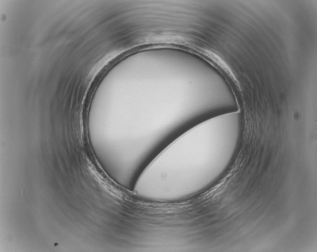 X0000059090980200510172050