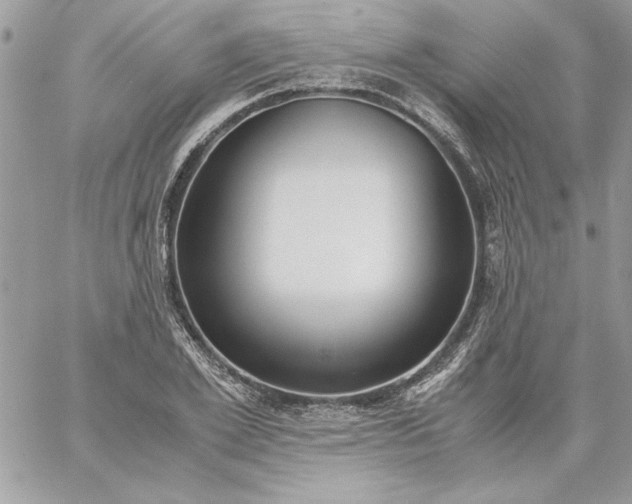 X0000059090981200510172050