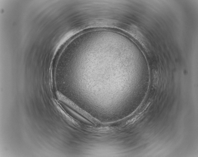 X0000059090982200510172050