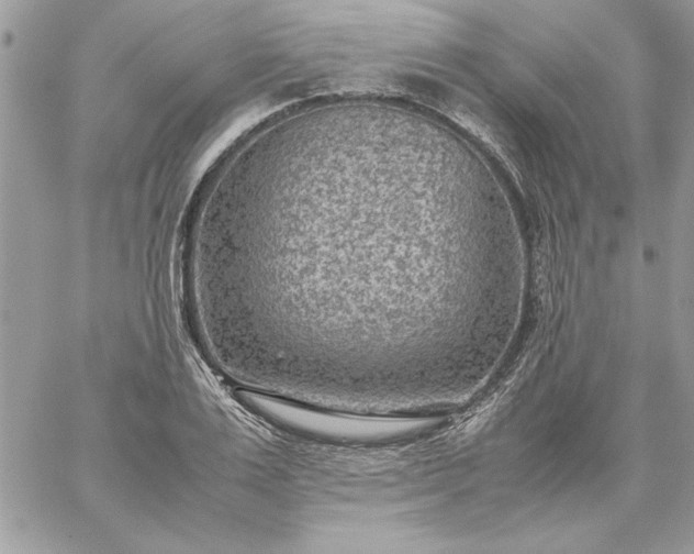 X0000059090983200510172050