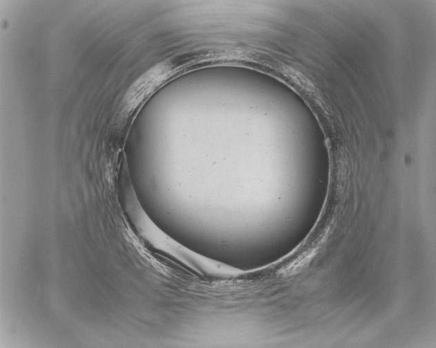 X0000059090985200510172050