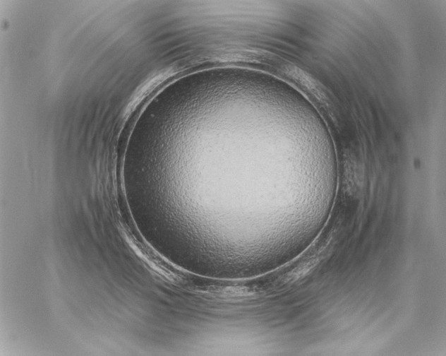 X0000059090986200510172050