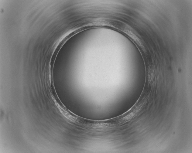 X0000059090988200510172050