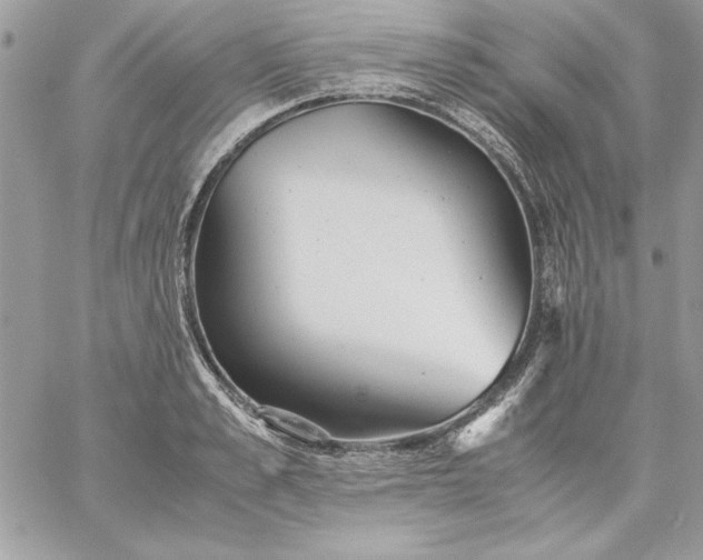 X0000059090989200510172050