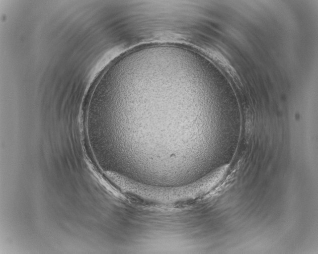 X0000059090990200510172050