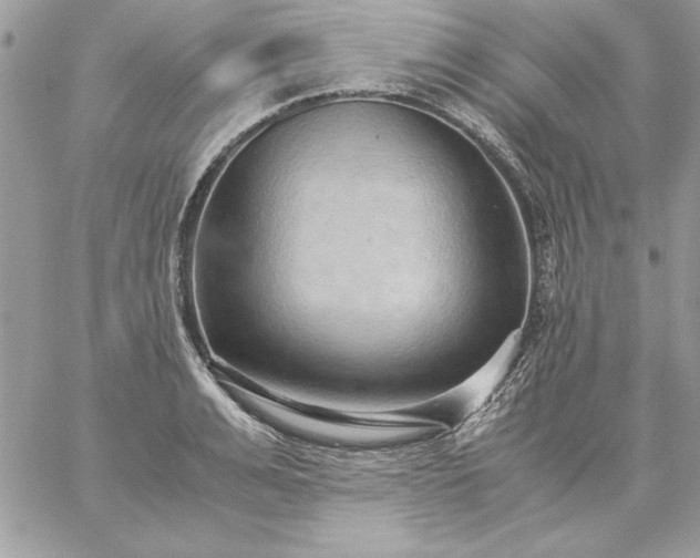 X0000059090991200510172050