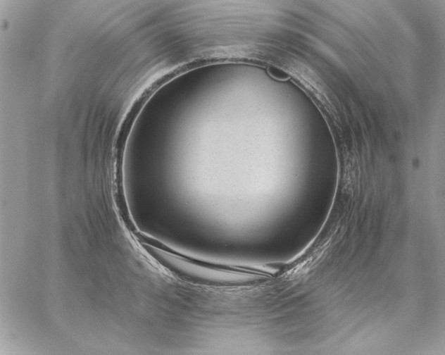 X0000059090992200510172050