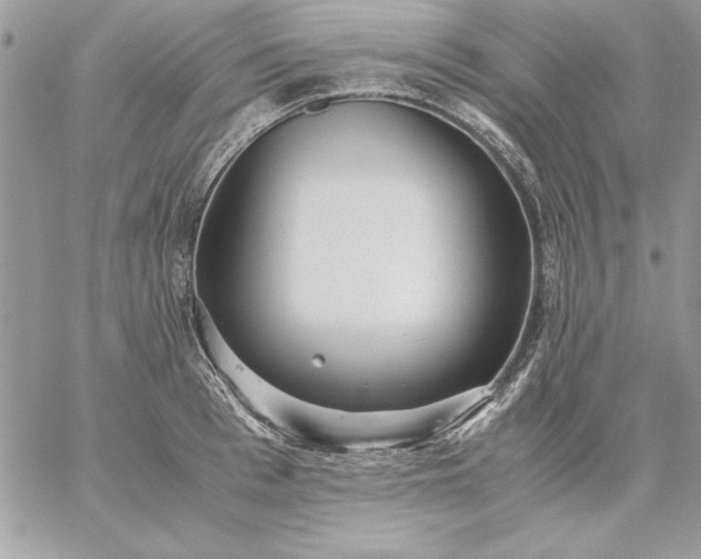 X0000059090993200510172050