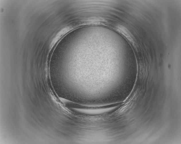 X0000059090994200510172050