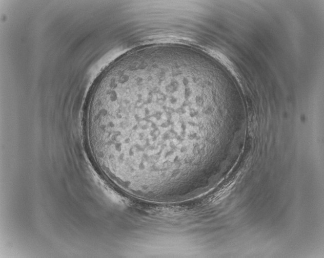 X0000059090995200510172050