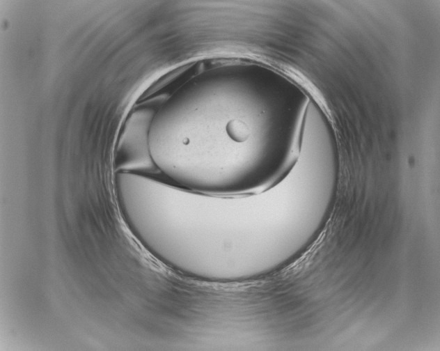 X0000059090996200510172050